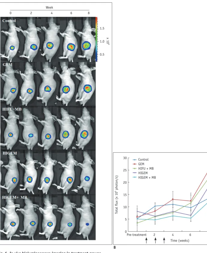Fig. 6. In vivo bioluminescence imaging in treatment groups. 