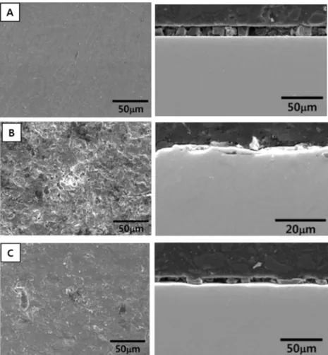 Fig. 6.  Surface and cross-sectional SEM morphology of salt spray tested specimen; (A) as-cast, (B) Al 2 O 3  particle blasting and (C) ZrO 2  particle blasting