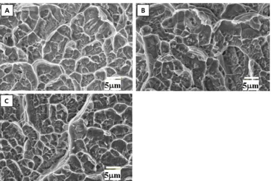 Fig. 10. SEM bending fracture morphology of salt spray tested specimens: (A) as-cast (B) Al 2 O 3  particle blasting and (C) ZrO 2  particle blasting specimens.