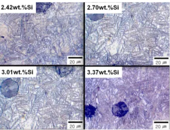 Fig. 1.  Microsturctures of specimens austempered at 340 o C for 5 min.