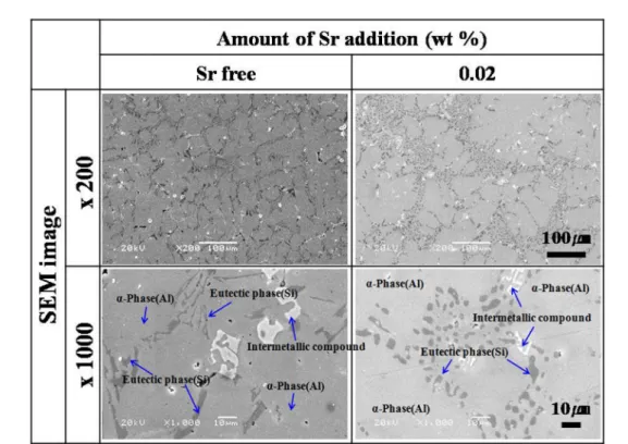 Fig. 4.  Microstructures of A356 alloy casting containing Sr.