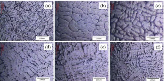 Fig. 4.  Optical microstructure of secondary dendrite arm spacing; (a) Al-1 wt%Zn, (b) Al-2 wt%Zn, (c) Al-4 wt%Zn, (d) Al-1 wt%Mg, (e) Al- Al-2 wt%Mg, (f) Al-4 wt%Mg.