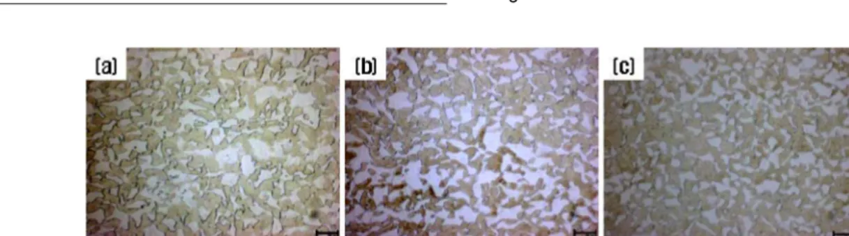 Fig. 3.  Microstructure of this steel on intercritical annealing temperature condition