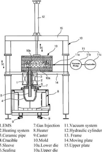 Fig. 1.  Schematic of vacuum low pressure apparatus with EMS.