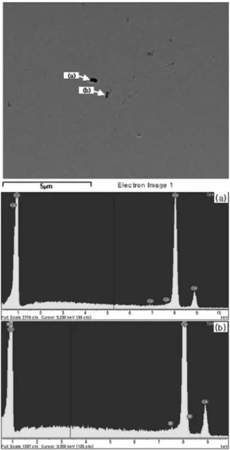 Fig. 5.  Microstructures of aged Cu-Be alloy plates; (a) 1 min, (b) 10