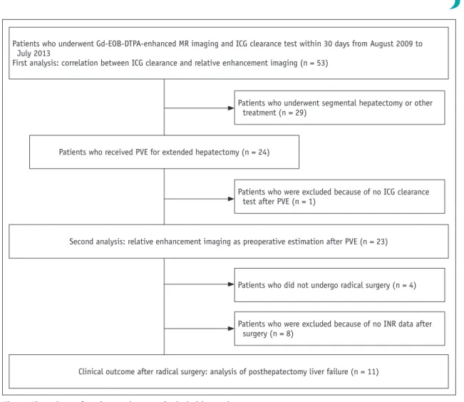 Fig. 1. Flow chart of patients who were included in study.