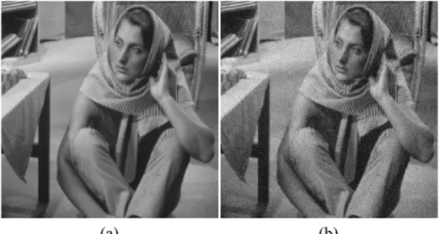 Fig.  3  Test  image  (a)  Barbara  image  (b)  Noisy  Barbara  image  (  ) 