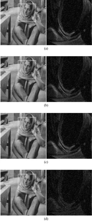 Fig.  6  Simulation  result  and  enlarged  difference  image  (Goldhill  image)  (a)  Average  filter