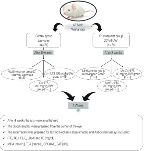 Fig. 1 depicts the study design used in the present work. Forty- Forty-eight male Wistar rats were randomly separated into control and 