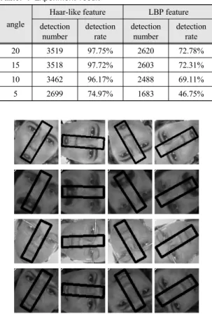 Fig.  5  Detection  examples