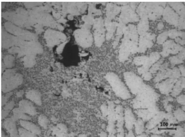 Fig. 2. Optical view of micro-pores between primary  α-Al matrix and eutectic colony in as-casted A356 alloy.