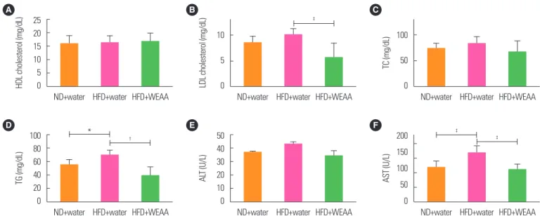 Figure 6.  Water extract of Artemisia annua (WEAA) affects the biochemical index of high-fat diet (HFD)-induced obesity in Sprague Dawley (SD) rats