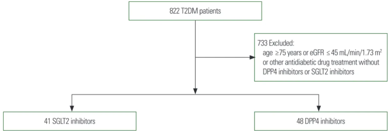 Figure 1. Flowchart of patient selection and grouping. All 822 patients had underwent percutaneous coronary intervention or coronary artery bypass graft and had type 2  diabetes mellitus (T2DM)