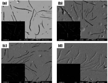 Fig. 2. SEM/EDS image of sanding test specimen. (a) as cast (b) 150 µm alumina (c) 20 µm industrial diamond (d) 5 µm zirconia flour.