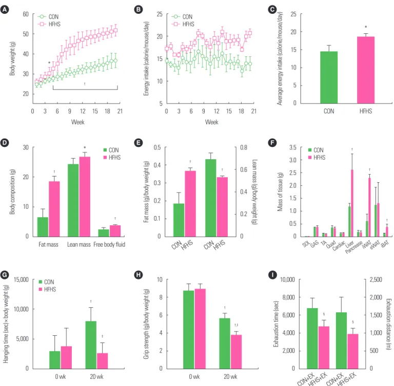 Figure 2. Chronic high-fat high-sucrose (HFHS) diet induced body weight, body composition, and tissue mass, and muscle function changes