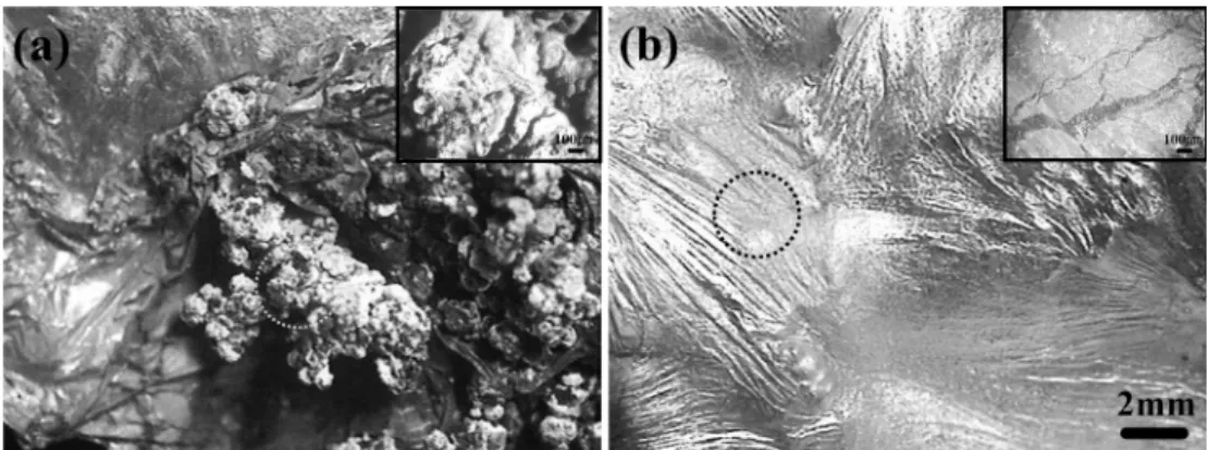 Fig. 3. Photo image of surface film obtained from the solidified Mg alloy under a protective atmosphere of (a) air containing Ar gas and (b) C 2 Cl 6 flux addition.