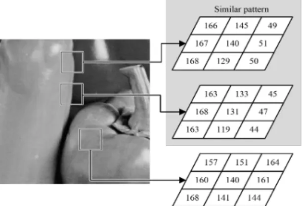 Fig.  1  Pixel  pattern  on  digital  image