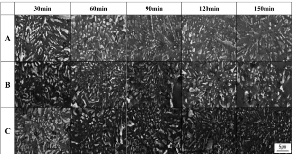 Fig. 5. Eutectic Si morphologies with holding time in Al-10.5wt%Si-2wt%Cu-Xwt% Sr alloys