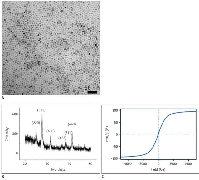 Fig. 1. Structural and magnetic characterization of prepared Fe 3 O 4  magnetic nanoparticles (MNPs).