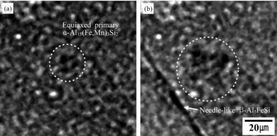 Fig. 3. Typical radiograph images (enlarged views) showing (a) primary α-Al 15 (Fe,Mn) 3 Si 2  and (b)  β-Al 5 FeSi formed after  α-Al 15 (Fe,Mn) 3 Si 2 in the Al-Si-Cu alloy solidified at 100 µm/s of pulling rate.
