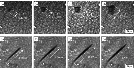 Table 4. Quantitative evaluation of length of the Fe-rich intermetallic phases in the Al-Si-Cu alloy solidified at 100 µm/s of pulling rate Image