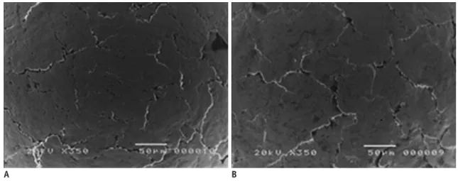 Fig. 1. Scanning electron microscope images showing surface of iron ball. 