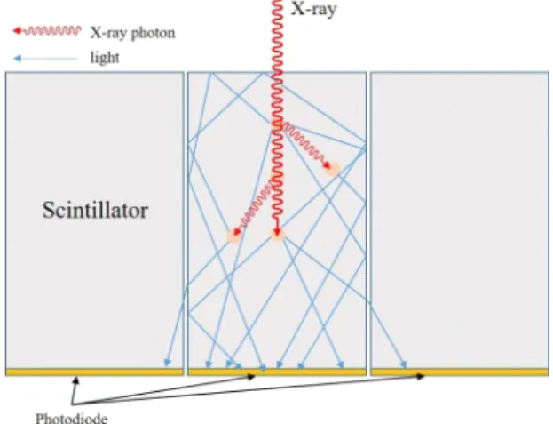 Fig.  1  Movement  process  of  incident  X-ray  and  generated  light  in  the  pixelated  scintillator