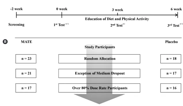 Figure 1. Intervention schedule and participation in MATE and placebo groups. 