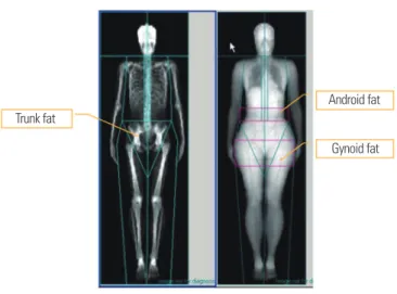 Figure 2. Total body tissue quantitation.