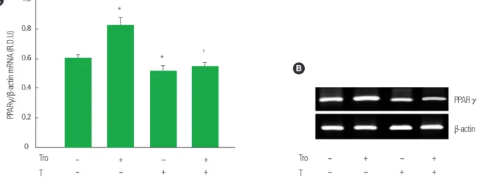 Fig. 2. Effect of Co-treatment with troglitazone (Tro) and testosterone (T) on the mRNA expression of PPARγ in differentiated 3T3-L1 adipoctyes