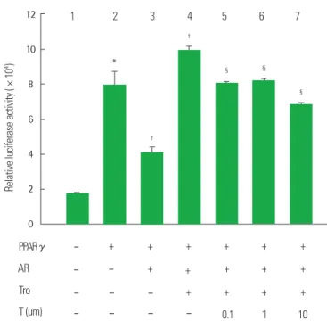 Fig. 5. Effect of Co-treatment with troglitazone (Tro) and testosterone (T) on the  PPARγ reporter gene expression in 3T3-L1 preadipoctyes with PPARγ and AR