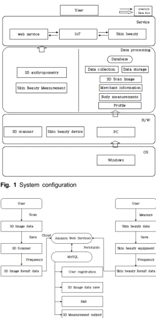 Fig.  1  System  configuration 