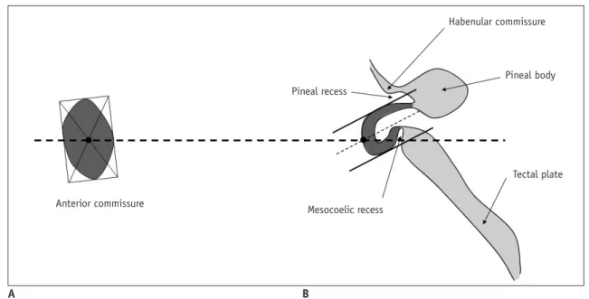 Fig. 3. Quantification of AC and PC.