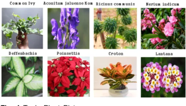 Fig.  3  Toxic  Plant  Classification  System  Schematic