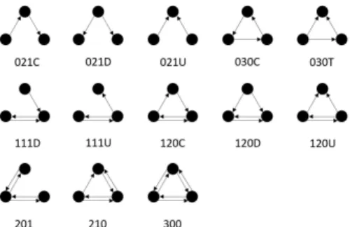 Fig.  4  13  isomorphic  triads  for  Triad  Significance  Profile  (TSP)[18]