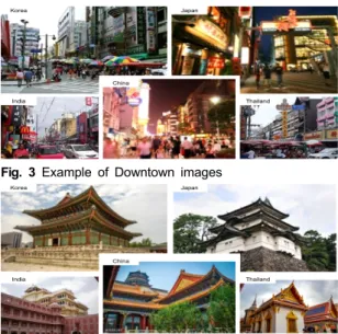 Fig.  4  Example  of  Palace  images