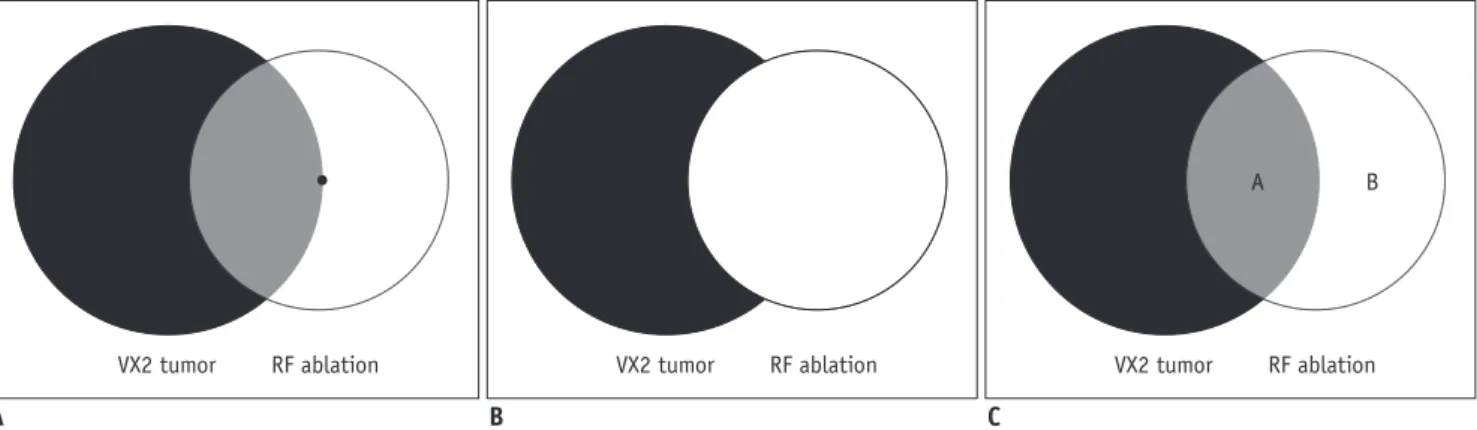 Fig. 1. Experimental concept of intentional marginal ablaion.