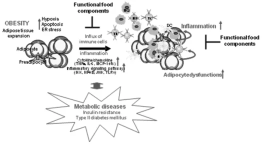 Fig.  1.  Obesity-induced  inflammation,  metabolic  diseases,  and  functional  food  components.
