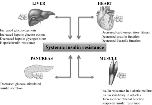 Fig.  1.  Metabolic  abnormality  caused  by  increased  partitioning  of  triglyceride  into  ectopic  tissues