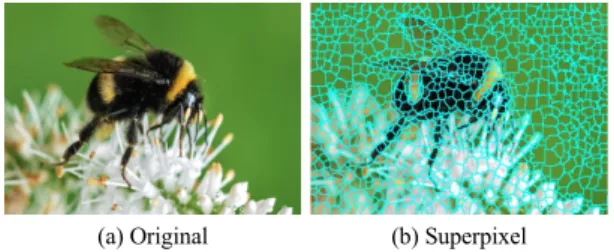 Fig.  1  Original  bee  image  and  superpixel  image  generated  using  SLIC  method