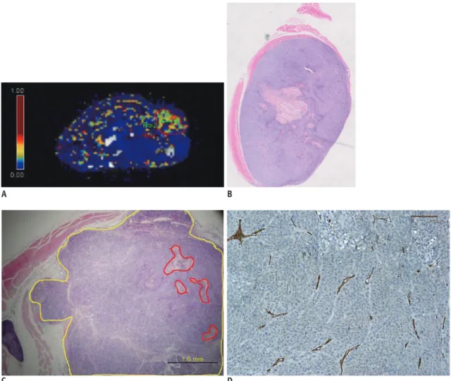 Fig. 3. Pixel-by-pixel analysis of K trans  in tumor of representative mouse #2 evaluated by dynamic contrast enhanced MRI with  Tofts model.