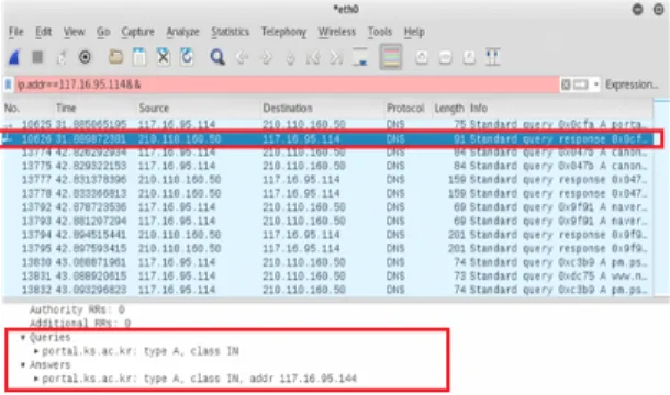Fig.  29  Packet  Analysis  of  DNS  Spoofing  Program