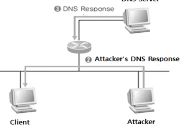 Fig.  4  Hacking  Network  Environment  Information