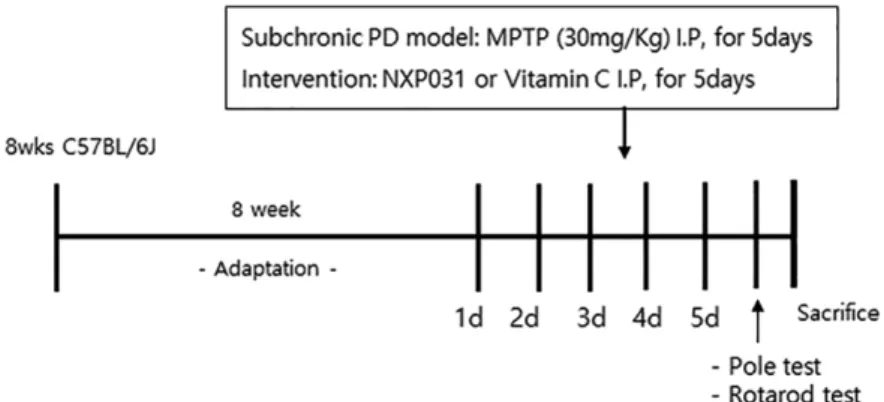Figure 1. Experimental design. 