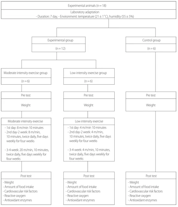Figure 1.  Research procedure.