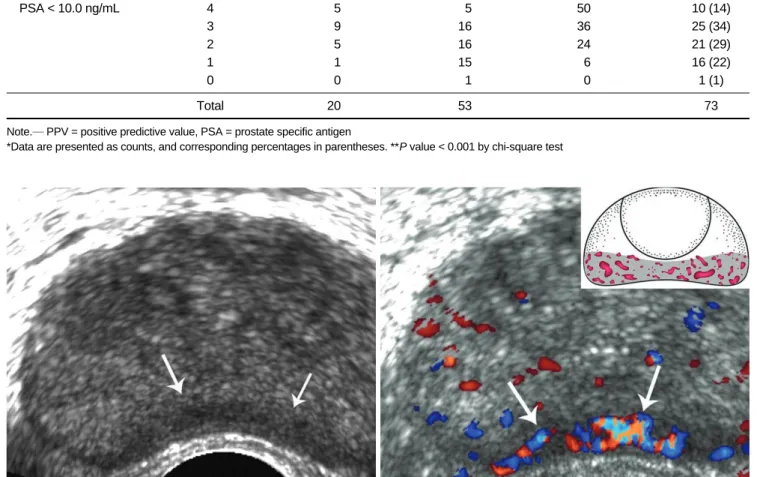 Fig. 1. Scoring system for focal suspicious lesions.