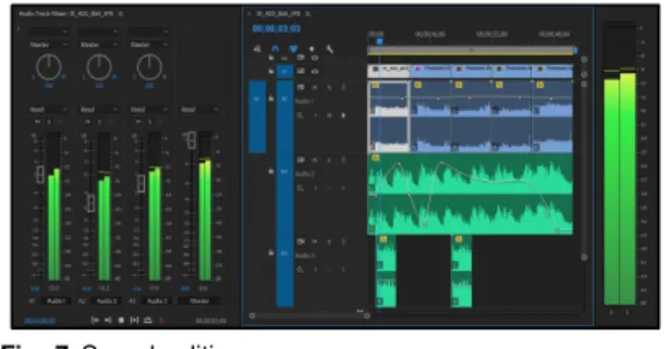 Fig.  7  Sound  editing