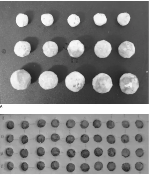 Fig. 1. Phantom nodules made of fixed swine lung (A). Forty nodules were placed in wells with diameter of  approxi-mately 10 mm of 5 cm-thick Styrofoam plate (B).