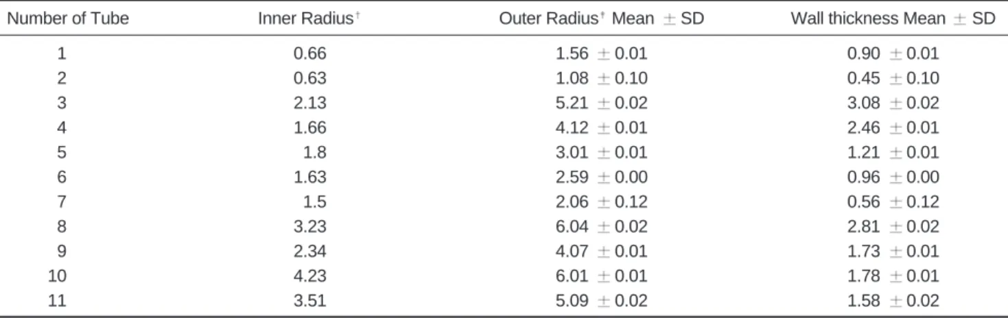 Table 1.  Mean and Standard Deviations of Inner Radius, Outer Radius, and Wall Thickness of Poly-Acryl Tubes Used for Physical Airway Phantom (mm)