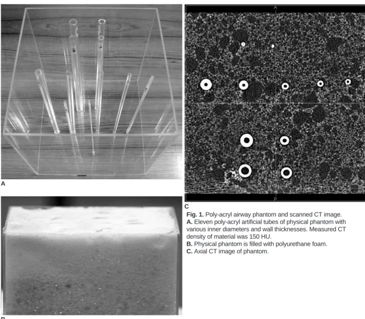 Fig. 1. Poly-acryl airway phantom and scanned CT image.